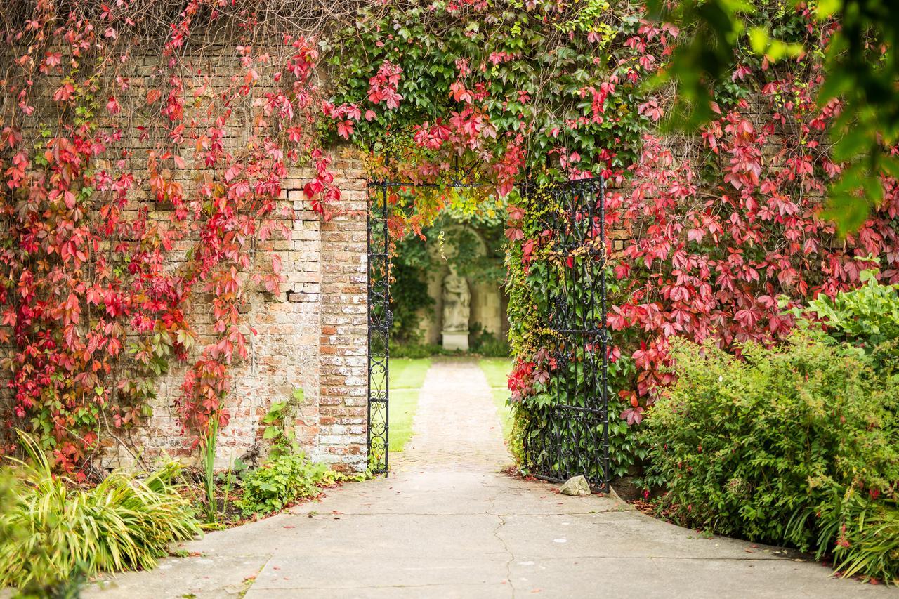 אשפורד Eastwell Manor, Champneys Hotel & Spa מראה חיצוני תמונה